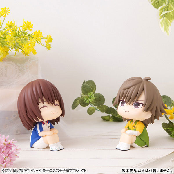 るかっぷ 新テニスの王子様 不二周助 完成品フィギュア